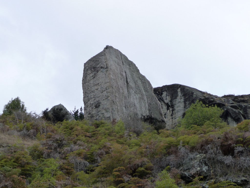 P1070569